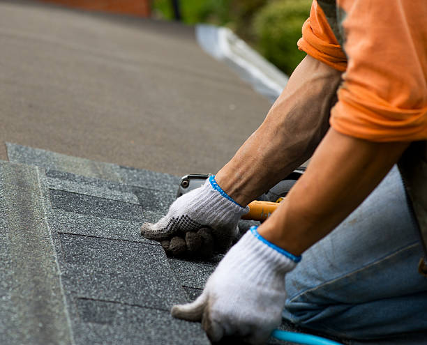 Best Emergency Roof Repair  in Holgate, OH